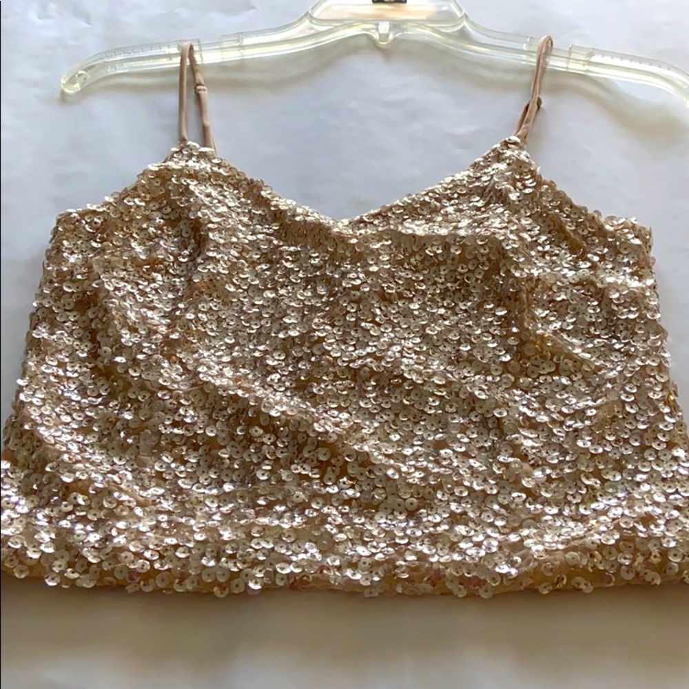 Express Sequin Crop Top NWOT
